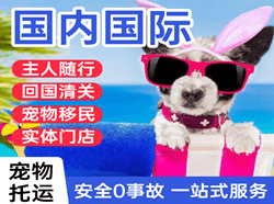 西宁曹家堡机场物流国际宠物托运 【国